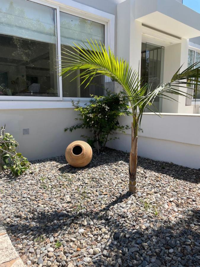 Ninemia Beach Hotel & Suites Aγία Μαρίνα Εξωτερικό φωτογραφία
